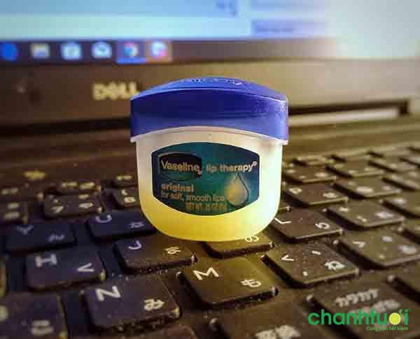 son-duong-moi-vaseline-3