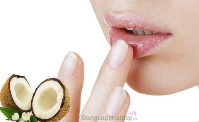 Dầu dừa có trị thâm môi không?